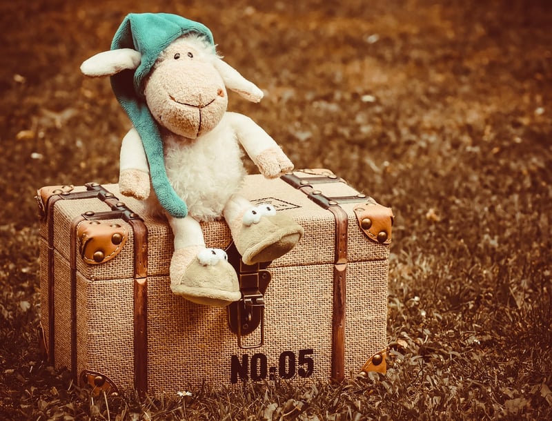 Whimsical Travel